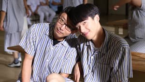疯人乐园 — foto 1