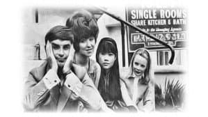 Sorry I'm Single — foto 1