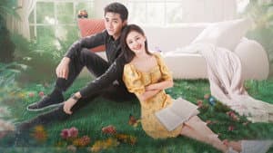 甜小姐与冷先生 — foto 2