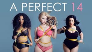 A Perfect 14 — foto 1