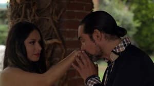 Las amantes del narco II — foto 8