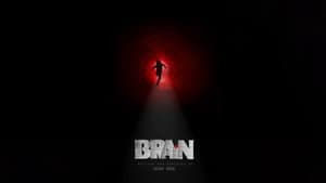 Brain — foto 1