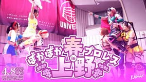 ぽかぽか春プロレス in 上野 — foto 1