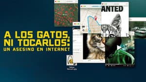 No te metas con los gatos: Un asesino en internet — foto 5