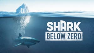 Shark Below Zero — foto 2