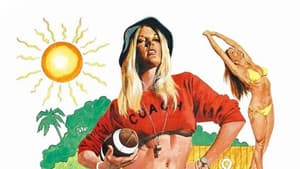 Summer School Teachers — foto 5