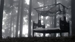 আসা যাওয়ার মাঝে — foto 3