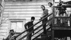Grateful Dead — foto 2