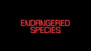 Episodio 62