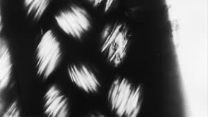 浸透画 — foto 1