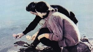 Charly — foto 2