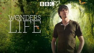 Wonders of Life — foto 7