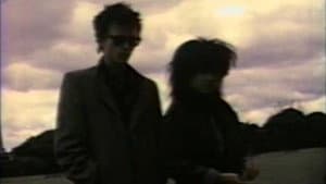 The Wild World of Lydia Lunch — foto 2