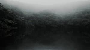 오버 데어 — foto 4