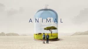 Animal — foto 3