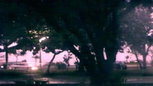 Travelling — foto 2