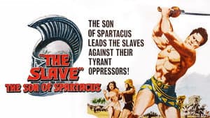 Il figlio di Spartacus — foto 2