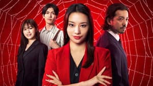離婚弁護士 スパイダー — foto 1