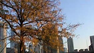 It's Great to be Alive! — foto 1