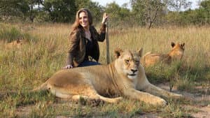 Lion Spy — foto 3