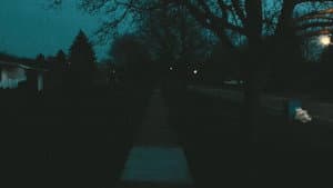 Blinking In Childhood — foto 3