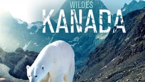 Wild Canada — foto 4