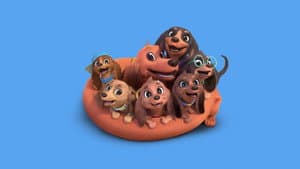 Pretzel y sus cachorros — foto 4