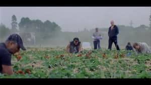 Sunny Life Farms — foto 1