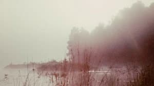 Everything Everywhere Again Alive — foto 4