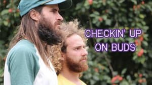 Checkin Up On Buds — foto 1