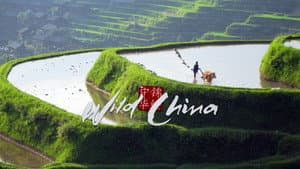 Wild China — foto 2