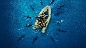 Capsized: Blood in the Water — foto 2