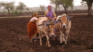 गाभ्रीचा पाऊस — foto 5