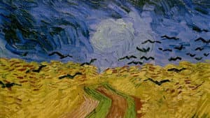 Moi, Van Gogh — foto 1