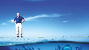 La gran barrera de coral con David Attenborough — foto 11