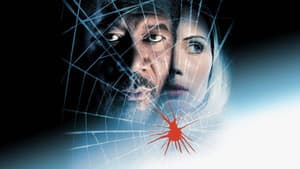 Telaraña — foto 2