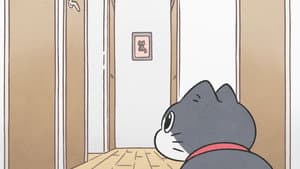 Episodio 14