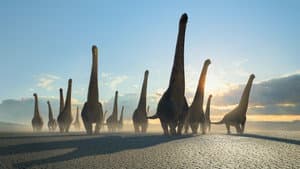 Planeta prehistórico — foto 7