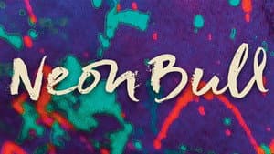Boi Neon — foto 4