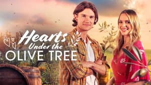 Hearts Under the Olive Tree — foto 4