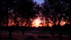 Li paradisi — foto 5