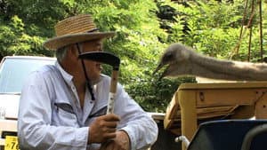 ナオトひとりっきり Alone in Fukushima — foto 2