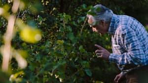 La quête d'Alain Ducasse — foto 7