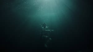 Invincible — foto 1