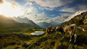 Unsere wilde Schweiz — foto 2