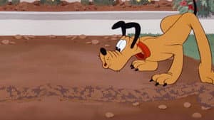 Pluto and the Gopher — foto 1