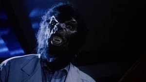 Werewolf — foto 2