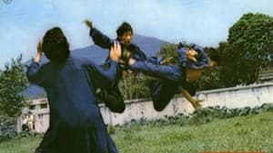 生龍活虎小英雄 — foto 1