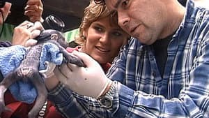 Episodio 3