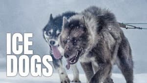 Ice Dogs: The Only Companions Worth Having — foto 2